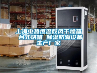 知識百科上海電熱恒溫鼓風干燥箱 臺式烘箱 除濕防潮設(shè)備生產(chǎn)廠家