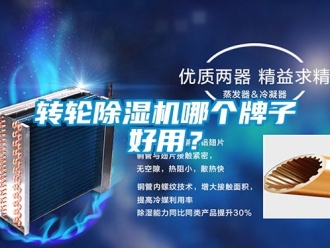 常見問題轉輪除濕機哪個牌子好用？