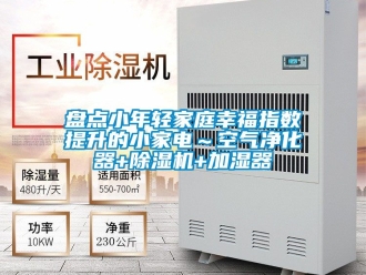 行業(yè)新聞盤點小年輕家庭幸福指數(shù)提升的小家電～空氣凈化器+除濕機+加濕器