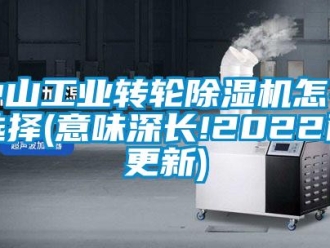 常見問題中山工業(yè)轉(zhuǎn)輪除濕機(jī)怎么選擇(意味深長!2022已更新)