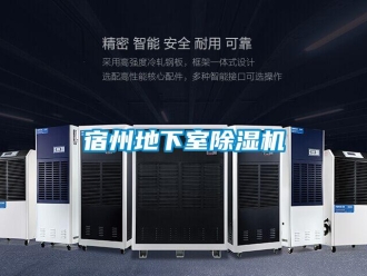 行業(yè)新聞宿州地下室除濕機