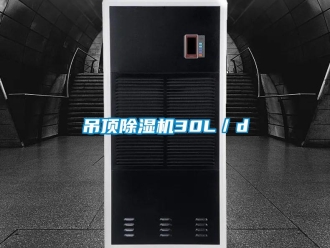 企業(yè)新聞吊頂除濕機(jī)30L／d