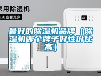 企業(yè)新聞最好的除濕機品牌（除濕機哪個牌子好性價比高）