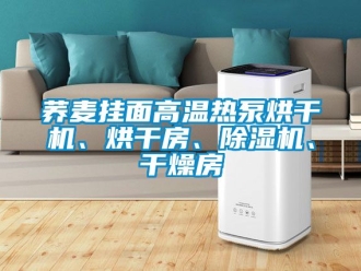 行業(yè)新聞蕎麥掛面高溫?zé)岜煤娓蓹C(jī)、烘干房、除濕機(jī)、干燥房