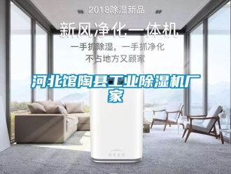 企業(yè)新聞河北館陶縣工業(yè)除濕機廠家