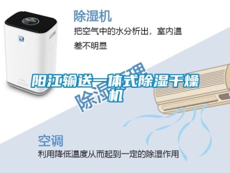行業(yè)新聞陽(yáng)江輸送一體式除濕干燥機(jī)