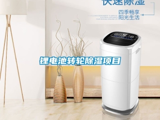 常見問題鋰電池轉(zhuǎn)輪除濕項目