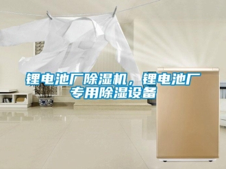 行業(yè)新聞鋰電池廠除濕機(jī)，鋰電池廠專用除濕設(shè)備