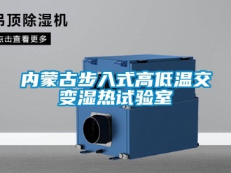 常見問題內(nèi)蒙古步入式高低溫交變濕熱試驗(yàn)室