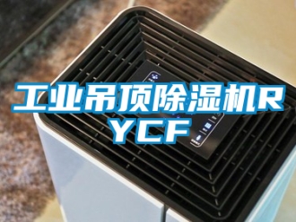 常見問題工業(yè)吊頂除濕機(jī)RYCF