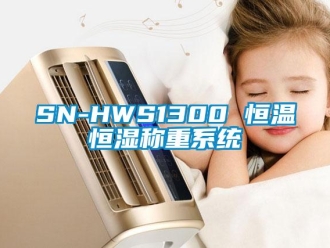 常見問題SN-HWS1300 恒溫恒濕稱重系統(tǒng)