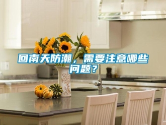 常見問題回南天防潮，需要注意哪些問題？