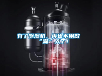行業(yè)新聞有了除濕機，再也不用做“潮”人了！