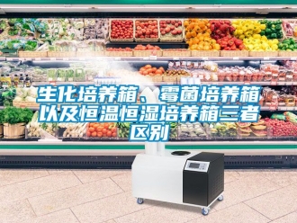 知識百科生化培養(yǎng)箱、霉菌培養(yǎng)箱以及恒溫恒濕培養(yǎng)箱三者區(qū)別