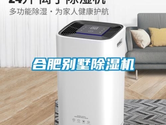 行業(yè)新聞合肥別墅除濕機(jī)