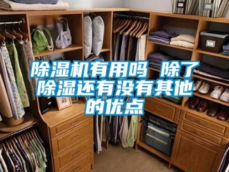 行業(yè)新聞除濕機(jī)有用嗎 除了除濕還有沒有其他的優(yōu)點(diǎn)