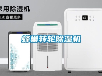 常見問題蜂巢轉(zhuǎn)輪除濕機(jī)