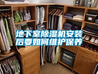 行業(yè)新聞地下室除濕機安裝后要如何維護保養(yǎng)
