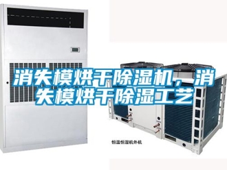 行業(yè)新聞消失模烘干除濕機，消失模烘干除濕工藝