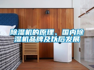企業(yè)新聞除濕機的原理、國內(nèi)除濕機品牌及以后發(fā)展