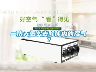 常見問題三伏天怎么去除體內(nèi)的濕氣？