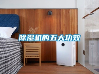 企業(yè)新聞除濕機的五大功效