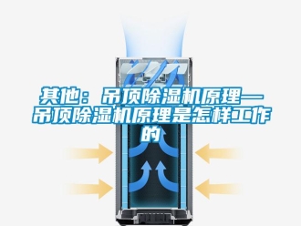 行業(yè)新聞其他：吊頂除濕機原理—吊頂除濕機原理是怎樣工作的