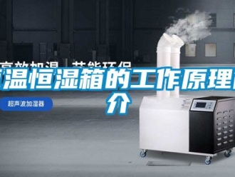 知識百科恒溫恒濕箱的工作原理簡介