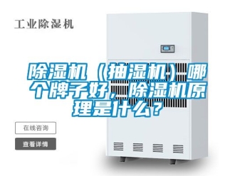 企業(yè)新聞除濕機(jī)（抽濕機(jī)）哪個(gè)牌子好，除濕機(jī)原理是什么？