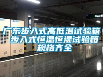 知識(shí)百科廣東步入式高低溫試驗(yàn)箱 步入式恒溫恒濕試驗(yàn)箱 規(guī)格齊全