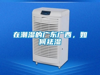 常見問題在潮濕的廣東廣西，如何祛濕