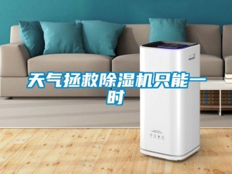 知識(shí)百科天氣拯救除濕機(jī)只能一時(shí)