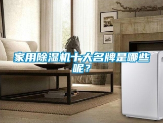常見問題家用除濕機(jī)十大名牌是哪些呢？