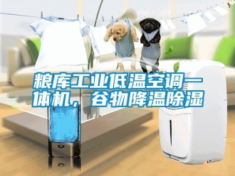常見問題糧庫工業(yè)低溫空調(diào)一體機，谷物降溫除濕