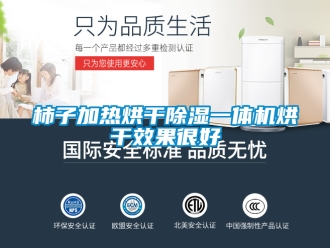 行業(yè)新聞柿子加熱烘干除濕一體機(jī)烘干效果很好