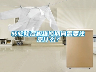 常見問題轉(zhuǎn)輪除濕機維修期間需要注意什么？