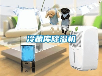 行業(yè)新聞冷藏庫(kù)除濕機(jī)