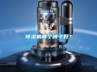 行業(yè)新聞除濕機哪個牌子好？