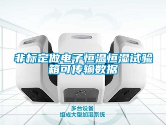 知識百科非標定做電子恒溫恒濕試驗箱可傳輸數(shù)據(jù)