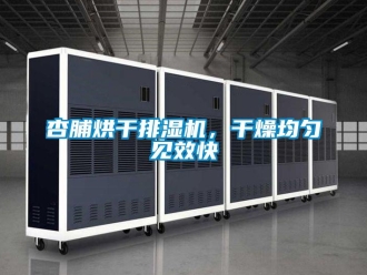 知識百科杏脯烘干排濕機，干燥均勻見效快