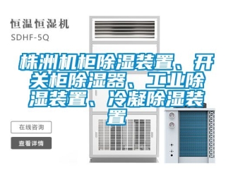 常見問題株洲機(jī)柜除濕裝置、開關(guān)柜除濕器、工業(yè)除濕裝置、冷凝除濕裝置