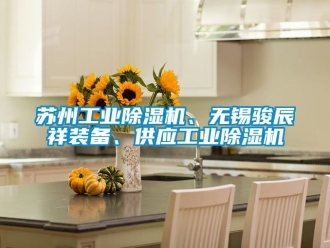 常見問題蘇州工業(yè)除濕機、無錫駿辰祥裝備、供應(yīng)工業(yè)除濕機