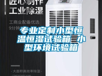 知識(shí)百科專(zhuān)業(yè)定制小型恒溫恒濕試驗(yàn)箱 小型環(huán)境試驗(yàn)箱