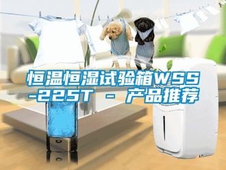 知識(shí)百科恒溫恒濕試驗(yàn)箱WSS-225T - 產(chǎn)品推薦