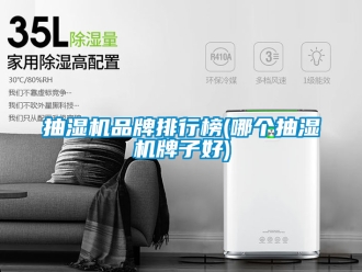 企業(yè)新聞抽濕機品牌排行榜(哪個抽濕機牌子好)
