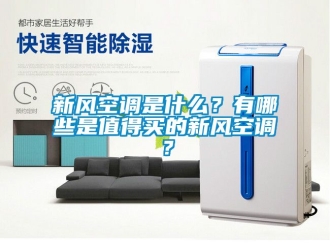 企業(yè)新聞新風(fēng)空調(diào)是什么？有哪些是值得買的新風(fēng)空調(diào)？