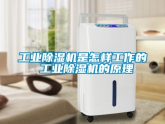 常見問題工業(yè)除濕機是怎樣工作的 工業(yè)除濕機的原理