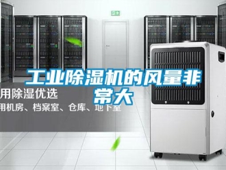 企業(yè)新聞工業(yè)除濕機(jī)的風(fēng)量非常大