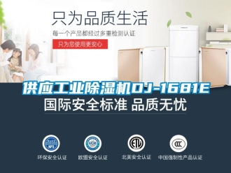 常見問題供應(yīng)工業(yè)除濕機(jī)DJ-1681E