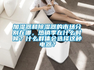 行業(yè)新聞加濕器和除濕器的市場分別在哪，熱銷季在什么時候？什么群體會選擇這種電器？